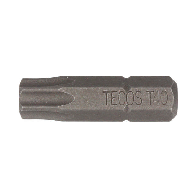 Torx Bits  TX40 × 25 mm  100 stk.