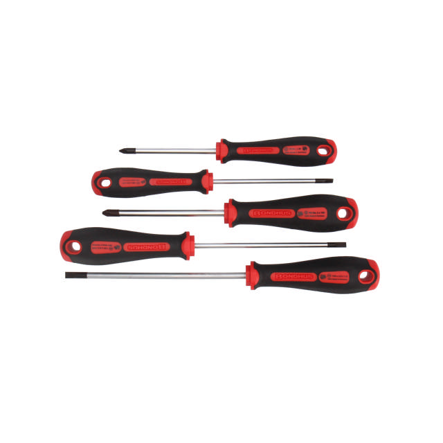 Skruetrækkersæt 5dl PH/Lige